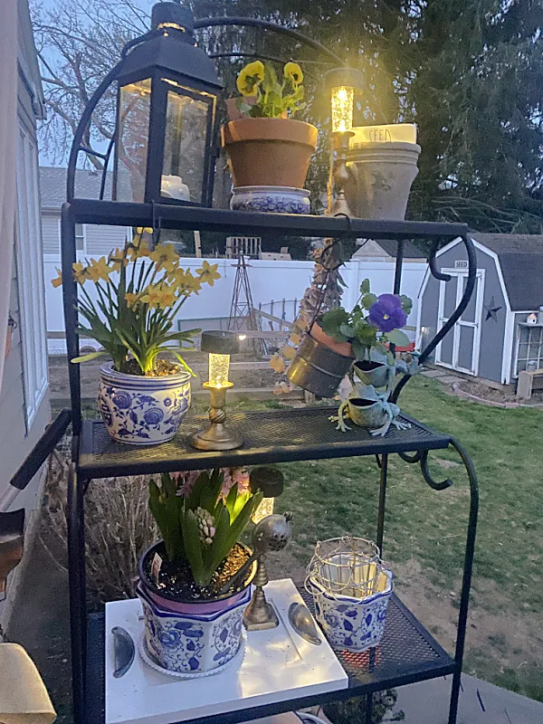 baker's rack with solar lights at night