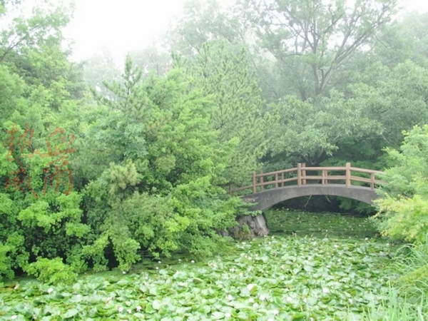 屋島寺｜源平合戰三大古戰場