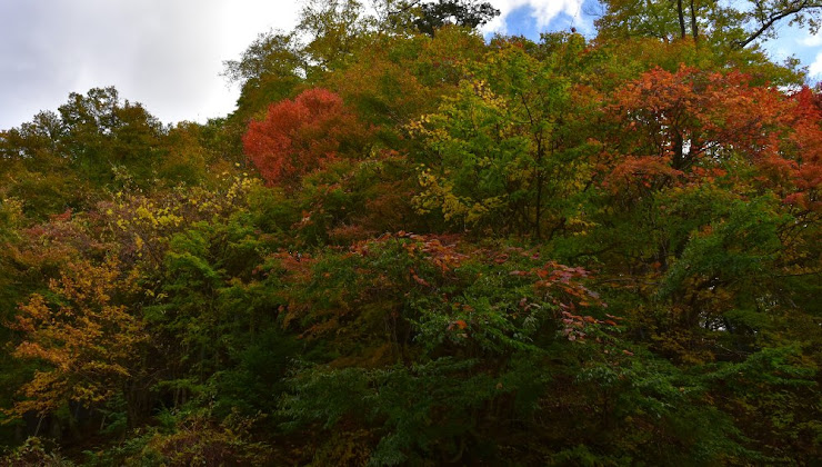 中禅寺湖湖畔の紅葉（2）