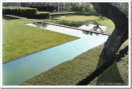eau-herbe-289002