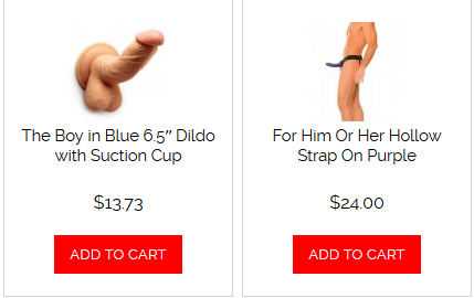 Shop The Best Sex Toys!