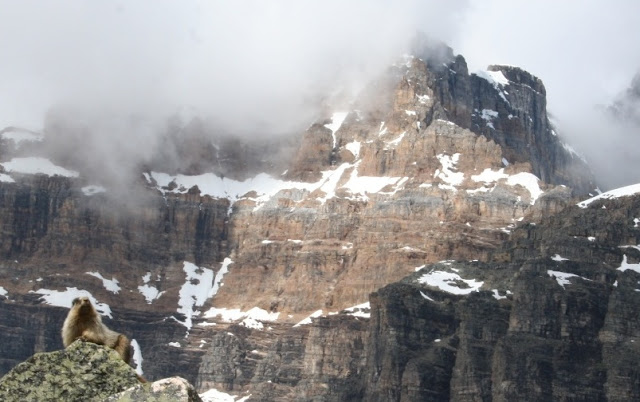 Lago Moraine a lago Eiffel (Banff)