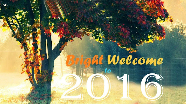 Happy New Year 2016 HD Wallpaper