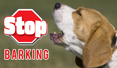 How to Stop Your Dog’s Barking 