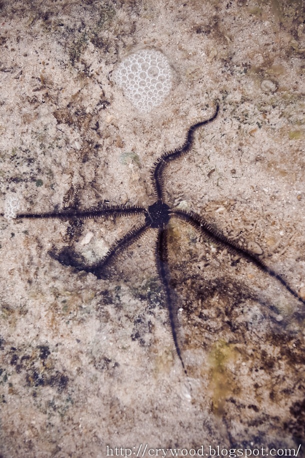 R0058504