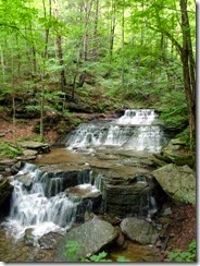 Turkey Path Falls