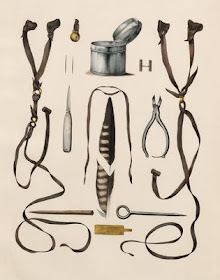 book illustration of training equipment used in falconry