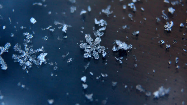 Best Winter Snowflakes HD Wallpaper