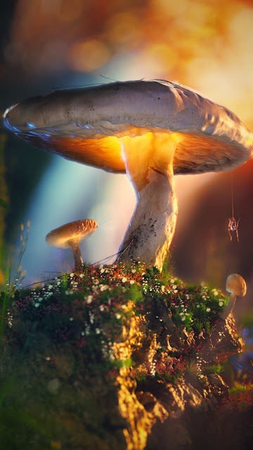 Mushroom, Plants, Macro, Artist, Artwork, Digital Art, Hd, 4k, 3D Images