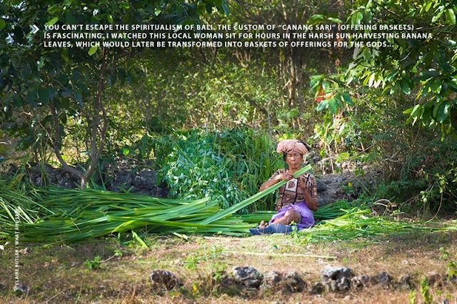 Balinese woman harvesting banana leaves in Indonesia (Photo: Claire Butler / What She Saw)