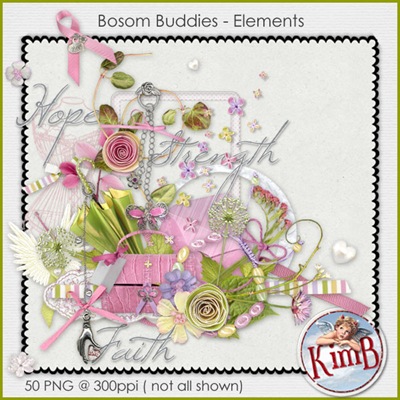 kb-BBuddies-elements