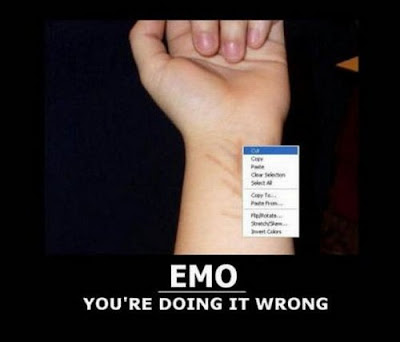 You Are Doing It Wrong funny pictures and Posters