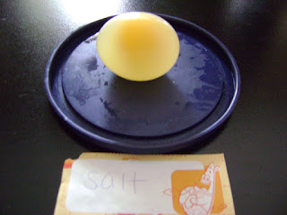 osmosis experiment with eggs conclusion