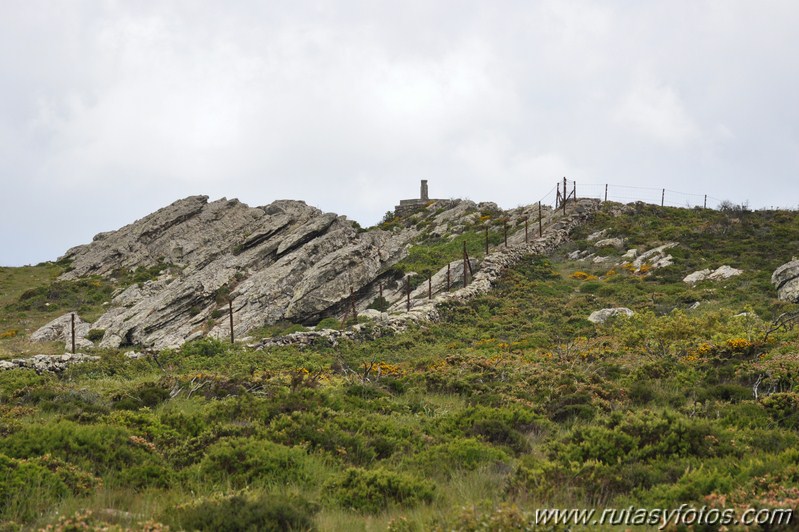 La última selva mediterránea