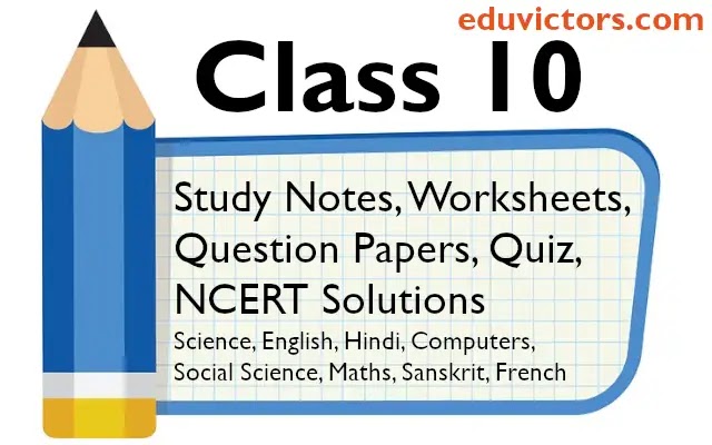 cbse papers questions answers mcq class x