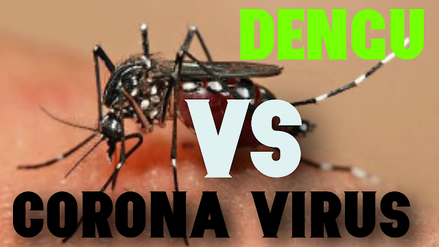 DONT LET DENGU TO PROPAGATE DURING CORONA VIRUS