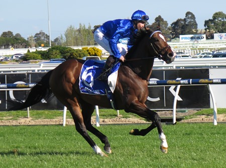 race 7_contributer 1