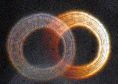 orb rings