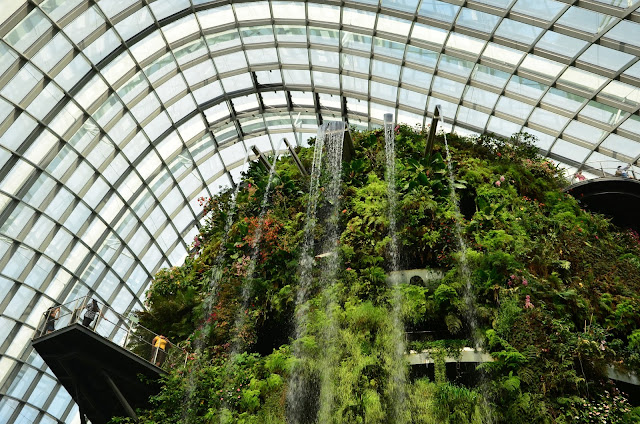 Las Deszczowy - Cloud Forest Dome - Singapur