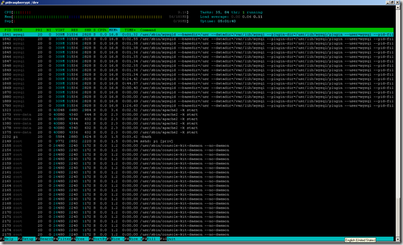   htop - interactive process viewer