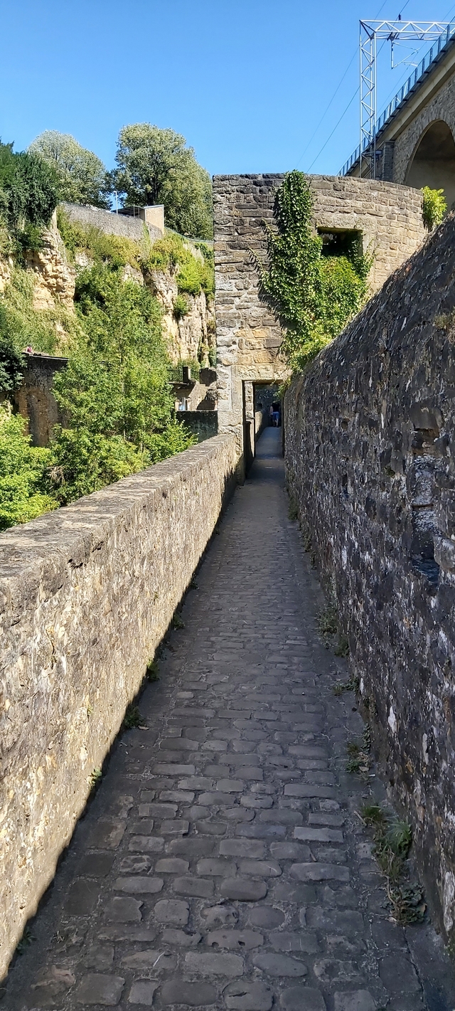 Luxemburg-stad: wandeling doorheen het Parc/de vallei van de la Pétrusse
