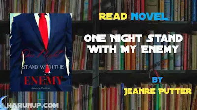 One Night Stand With My Enemy Novel