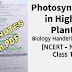 Photosynthesis in Higher Plants Class 11 Notes PDF