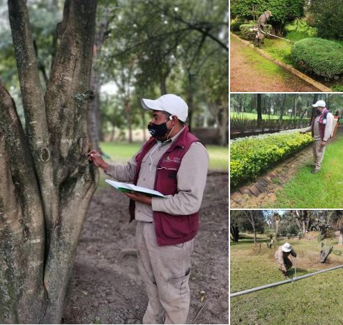 REALIZA CGE ACCIONES DE MANTENIMIENTO Y EMBELLECIMIENTO EN EL JARDÍN BOTÁNICO TIZATLÁN