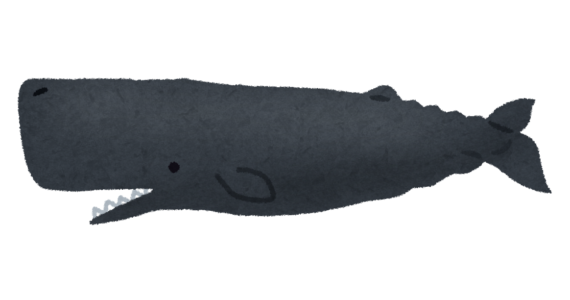 マッコウクジラのイラスト 鯨 かわいいフリー素材集 いらすとや マッコウクジラのイラスト 鯨 かわいいフリー素材集 いらすとや