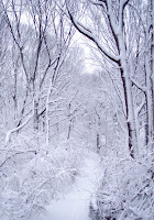 Snowy Path