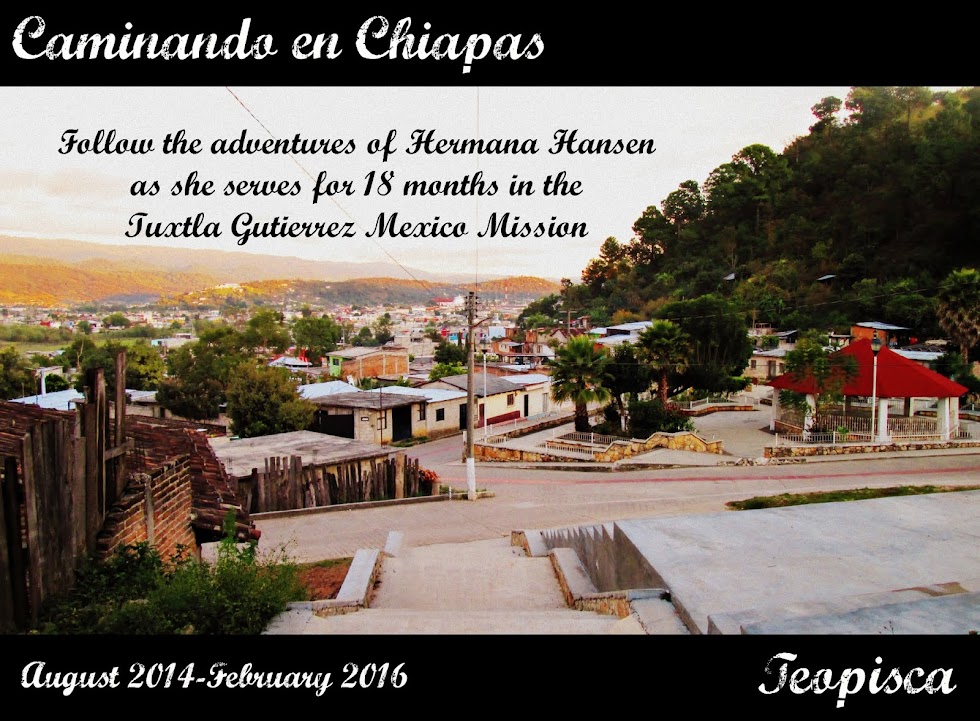 Caminando en Chiapas
