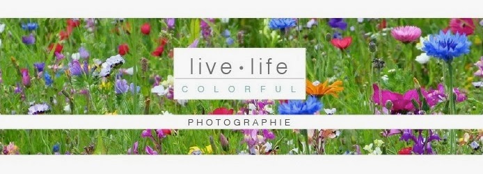 live.         life.         colorful.