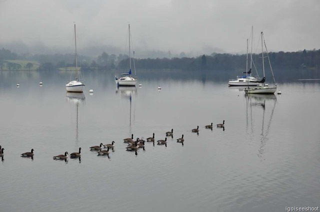 View of Lake Windermere from Borrans Park, Ambleside, Lake District