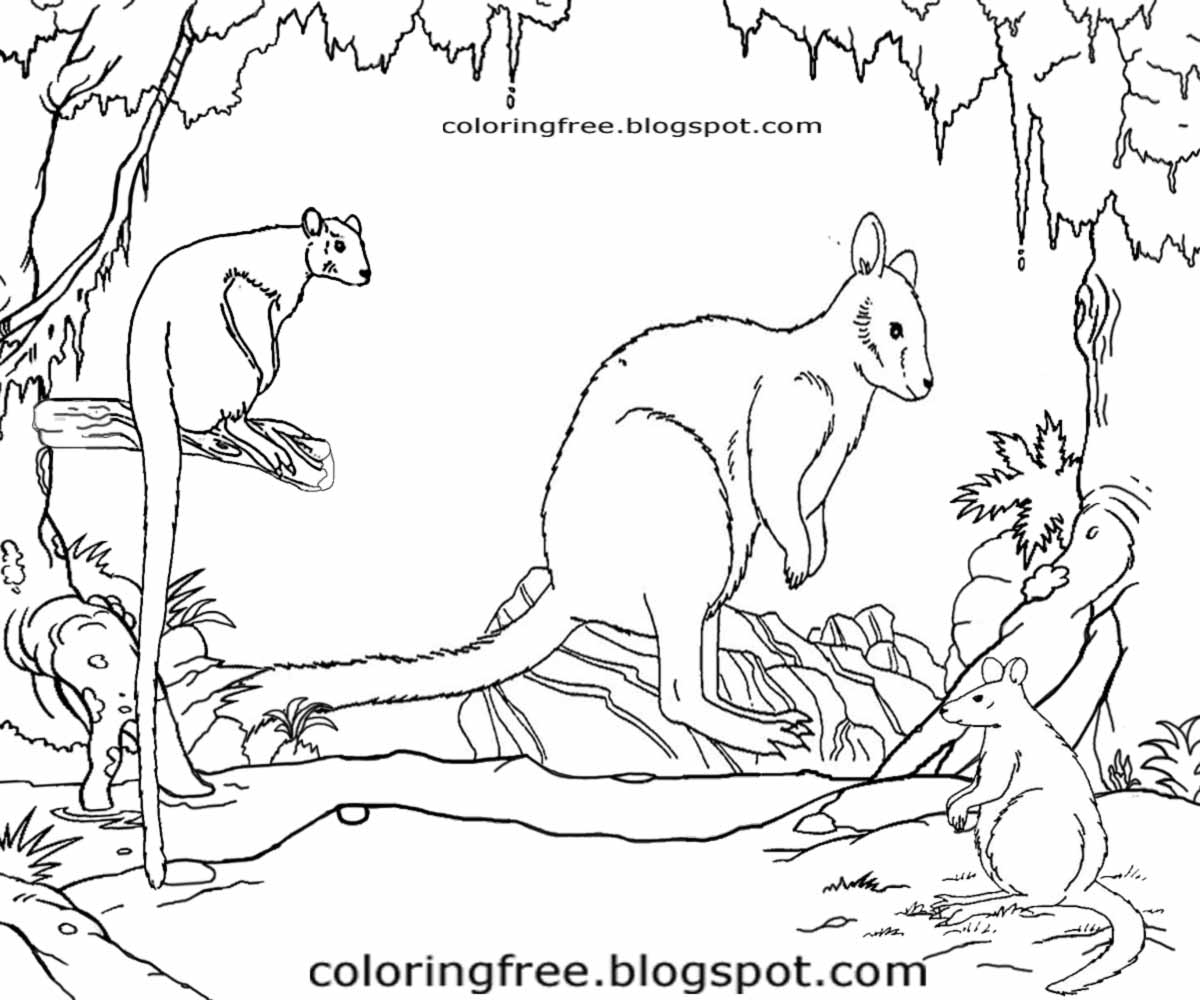 Download Free Coloring Pages Printable Pictures To Color Kids Drawing ideas: Printable Australian ...