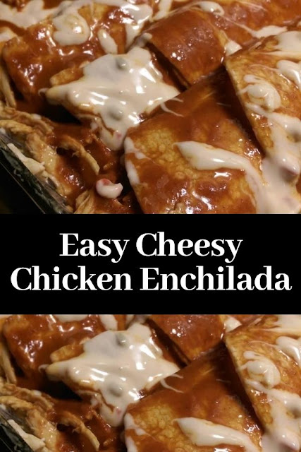 Easy Cheesy Chicken Enchilada