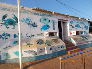 Aqua World fish aquarium on Kovalam beach road in Kanyakumari.