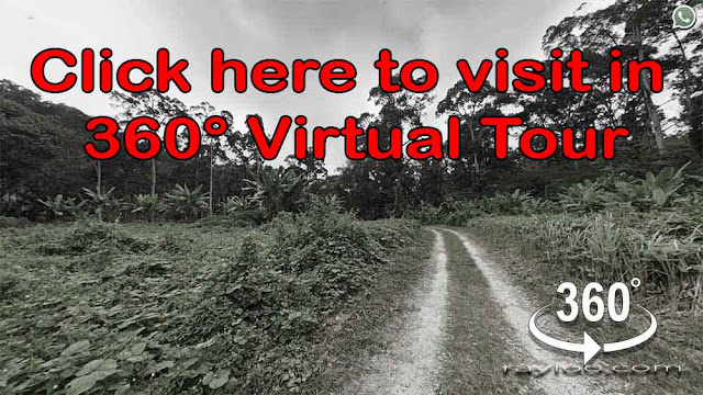 Click here for 360° VR for Titi Teras Balik Pulau Durian Estate By Penang Raymond Loo 019-4107321