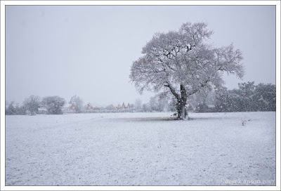 snow, little clacton, clacton on sea, essex, photographer, derek anson,