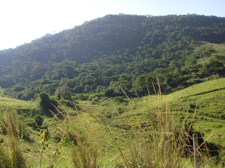 Morando no Paraíso