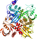 PDB-1LAR Associated subunits RPTPs (receptor protein tyr. phos.) that acts as a protein-tyrosine phosphatase Domain 1