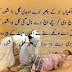 Top Class Punjabi Poetry Collection 