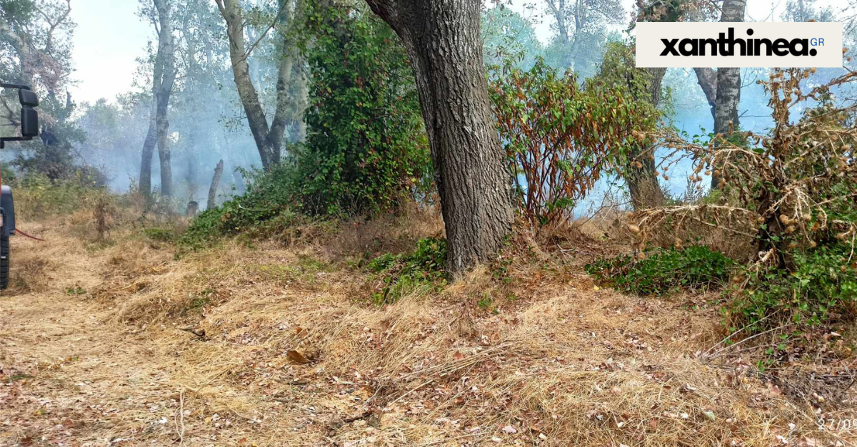 Ξάνθη: Μεγάλη πυρκαγιά στο Δάσος Κοτζά Ορμάν - Σηκώθηκαν εναέρια μέσα [ΒΙΝΤΕΟ]