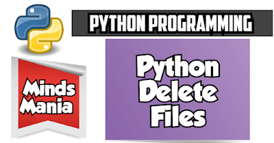 Python Delete Files