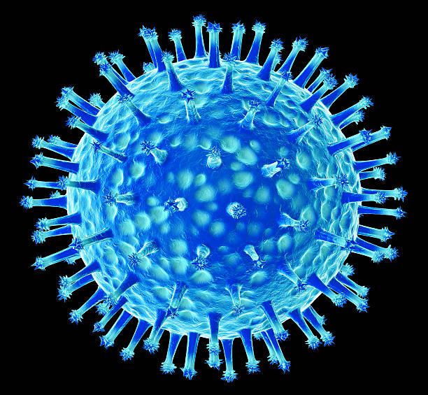 Caso de gripe H1N2v em Montana, EUA