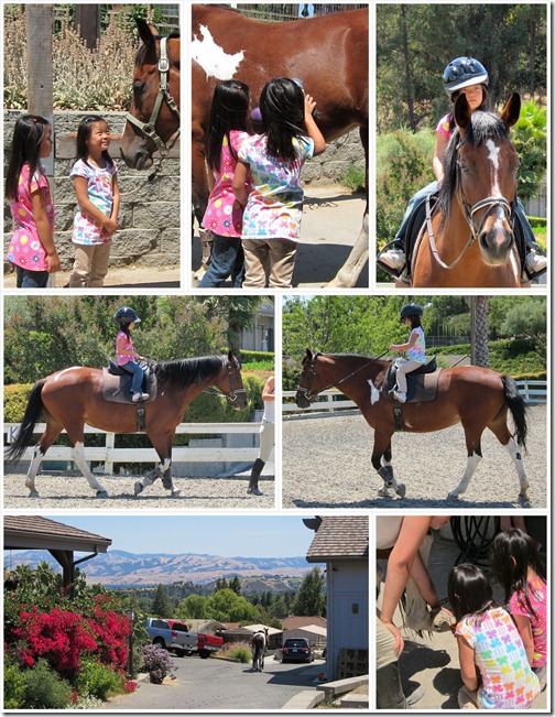 HorsebackRiding_portrait-000001