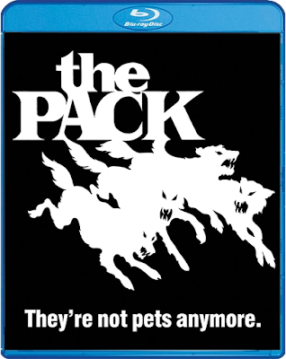 Cover art for Scream Factory's Blu-ray release of THE PACK (1977)!
