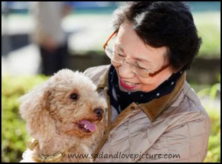 THE FAITHFUL DOG AND THE NURSING MOTHER - A TOUCHING STORY