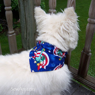 Patriotic Pup Dog Collar Slipcovers