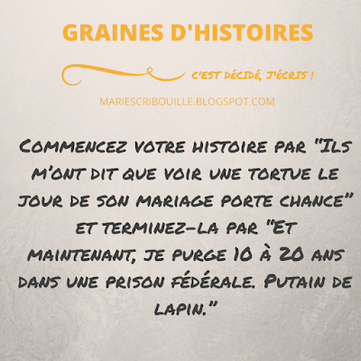 Commencez votre histoire par "ils m'ont dit que voir une tortue le jour de son mariage porte chance" et terminez-la par "et maintenant, je purge 10 à 20 ans dans une prison fédérale. Putain de lapin."