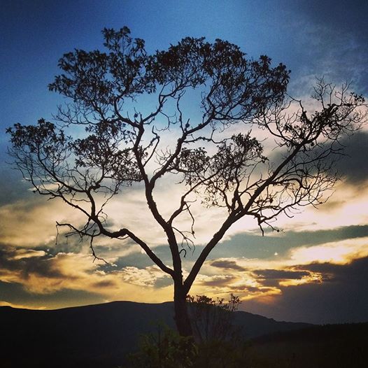 #Chapada #estradareal #turismoemMinas #PertinhodeBH #natureza #naturezacomcriança #ouropreto #feriado #finaldesemanaemfamilia #pordosol